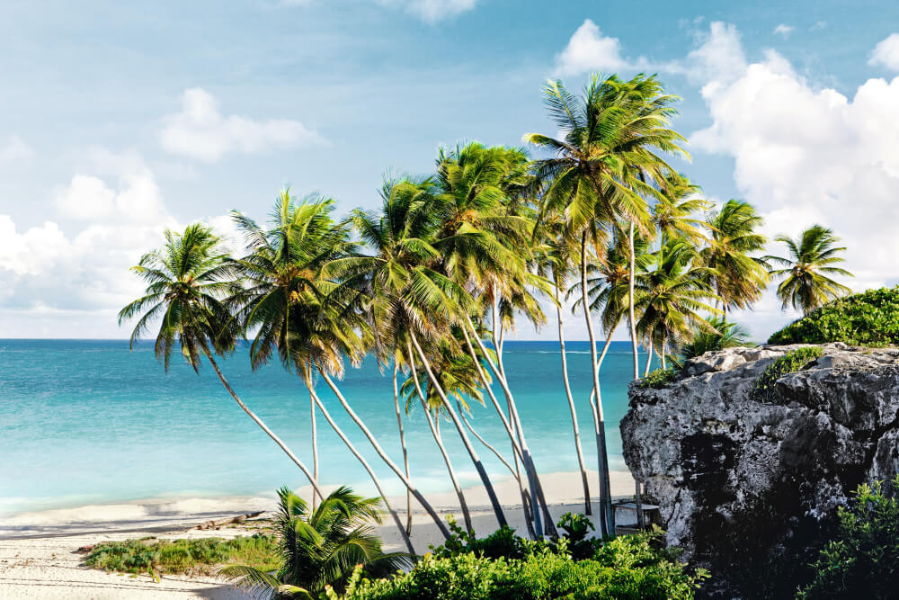 Barbados TUI Cruises