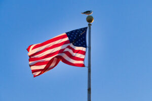 USA-Fahne im Wind