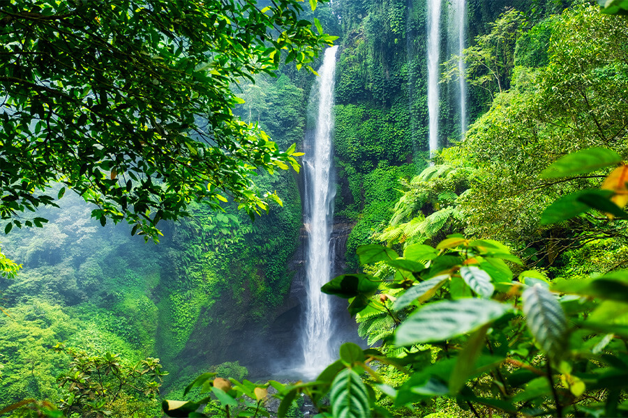 Sekumpul Wasserfall Bali