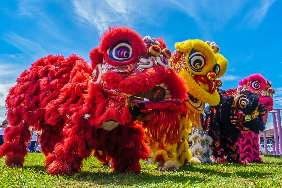 Löwentanz zum chinesischen Neujahrsfest