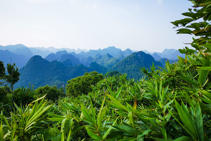 Cat Ba Nationalpark in Vietnam