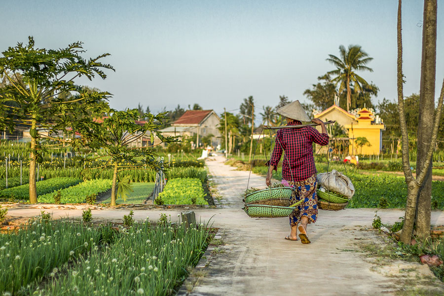 Tra Que Gemüsedorf in Hoi An